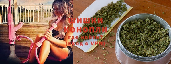 ешки Няндома