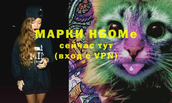 ешки Няндома