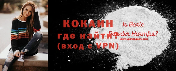 ешки Няндома