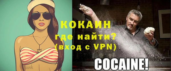 ешки Няндома