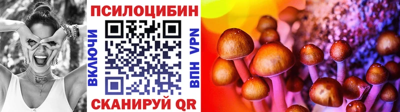 Галлюциногенные грибы MAGIC MUSHROOMS  blacksprut как войти  Суздаль 