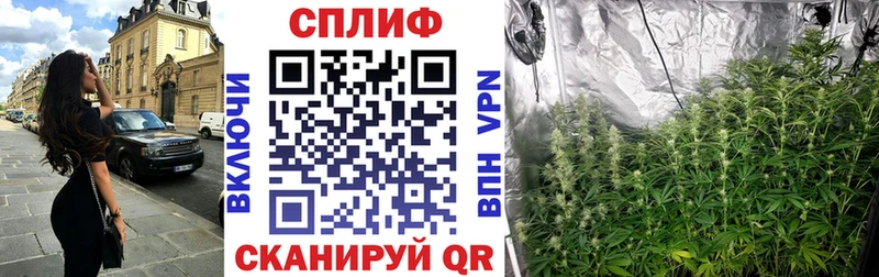 Шишки марихуана SATIVA & INDICA  Суздаль 